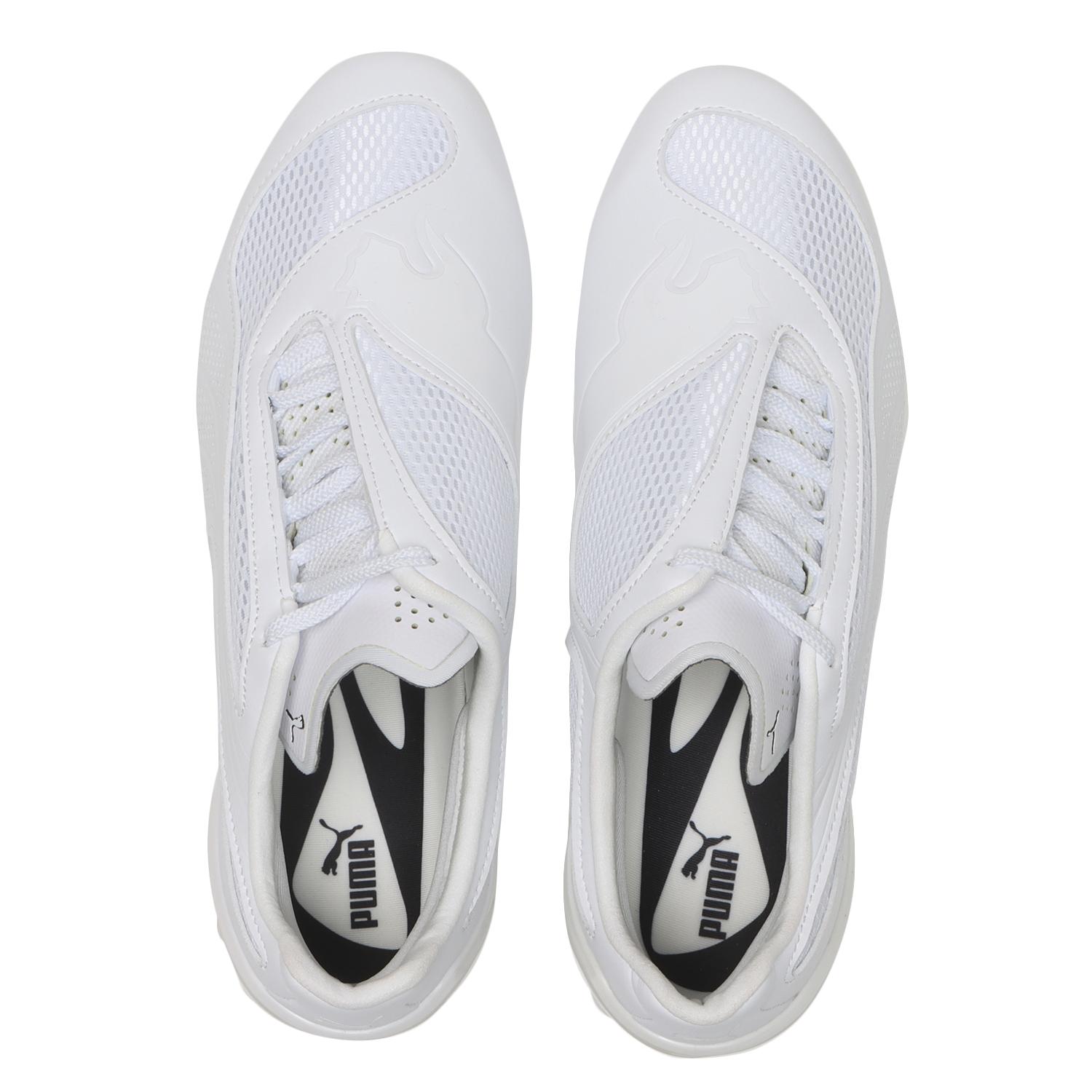  PUMA V-S1画像3