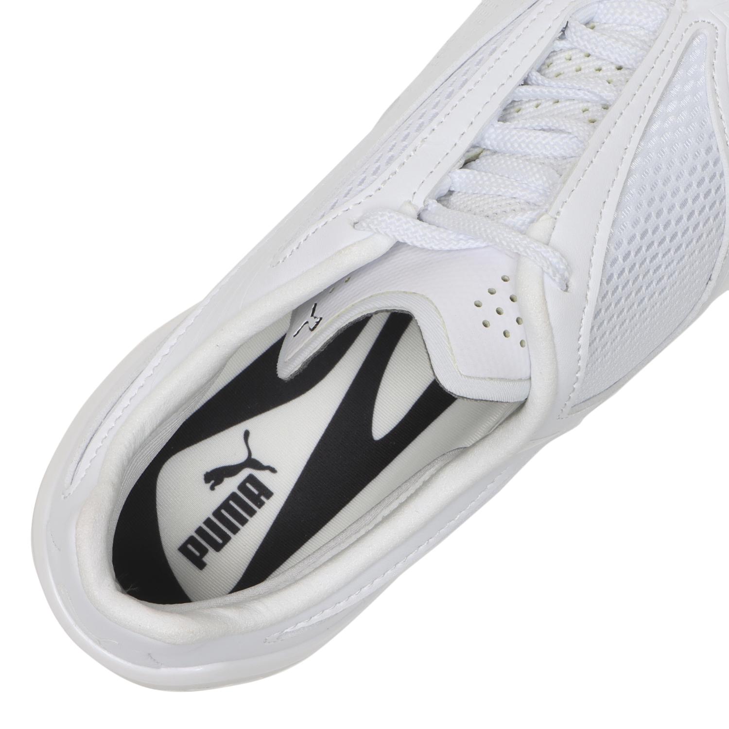  PUMA V-S1画像7