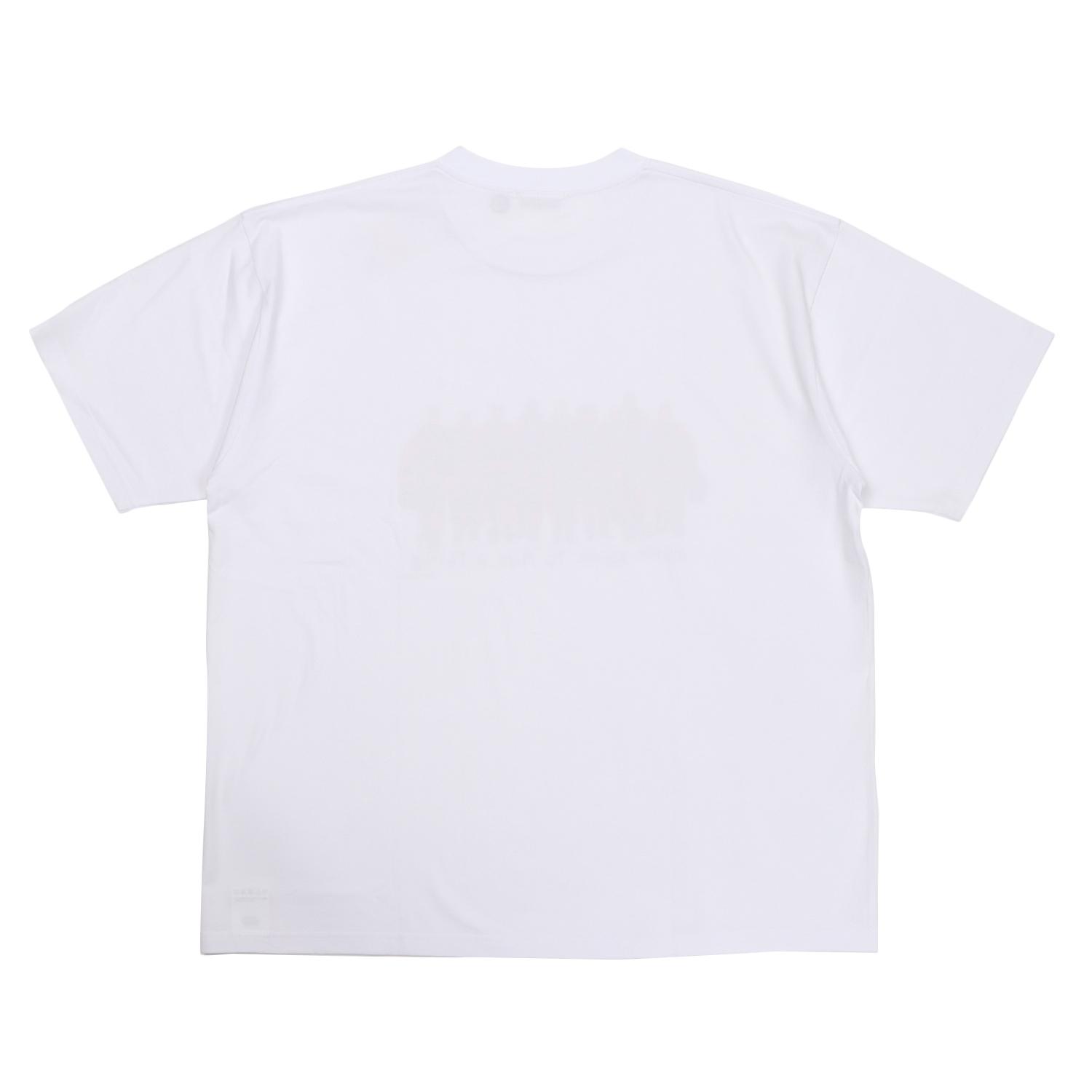  COTTON PAN STANBAR OIL画像3