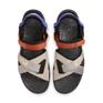  NIKE NIKE ACG Air Deschutz+画像3