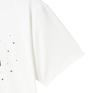  バンブーシュート BAMBOO SHOOTS Dry S/S Tee -Phantasia-画像4