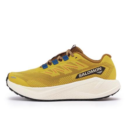 SALOMON エアロブレイズ 3 グラベル