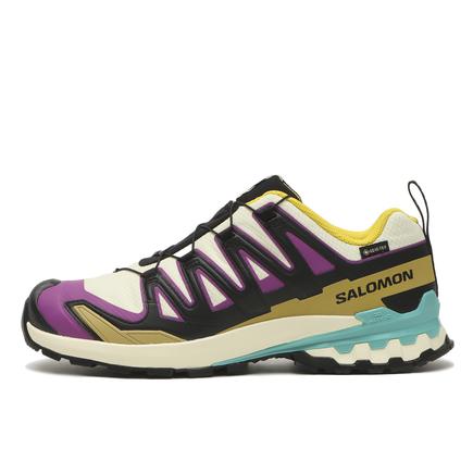 SALOMON エックスエー プロ 3D V9 ゴアテックス