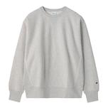 040/SILVER GRAY