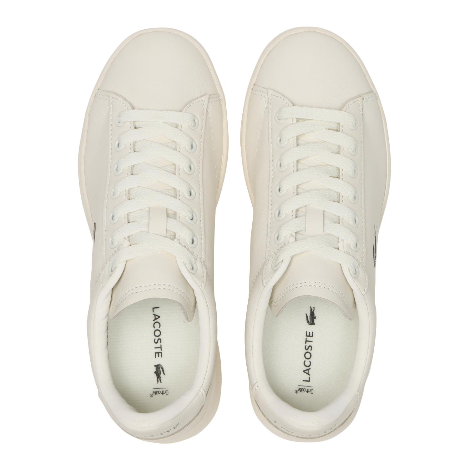 CARNABY SET 225 3 SFA 【LACOSTE】 ラコステ CARNABY SET 225 3