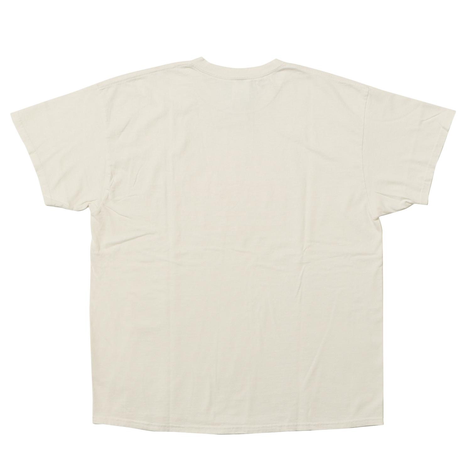  GDSS HERPERS NY PRINT SS TEE画像3