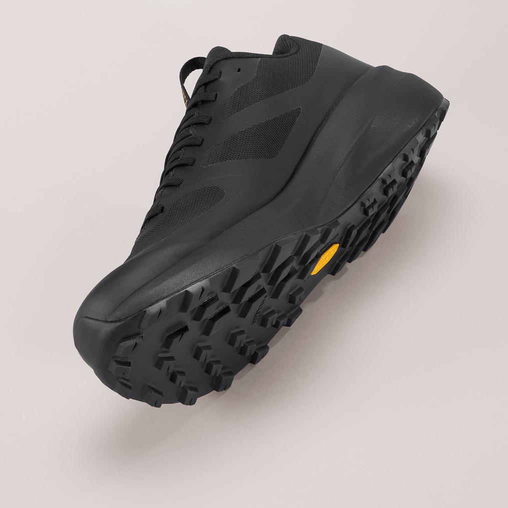  ARC’TERYX ARC’TERYX Norvan LD 4 GTX M画像3