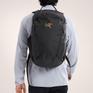  ARC’TERYX ARC’TERYX Mantis 26 Backpack画像6