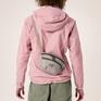  ARC’TERYX ARC’TERYX Mantis 1 Waist Pack画像2