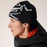  ARC’TERYX ARC’TERYX Bird Head Toque画像2