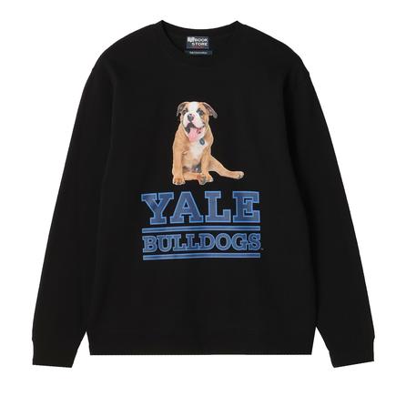 SUNNY SPORTS ブルドッグスクルースウェット