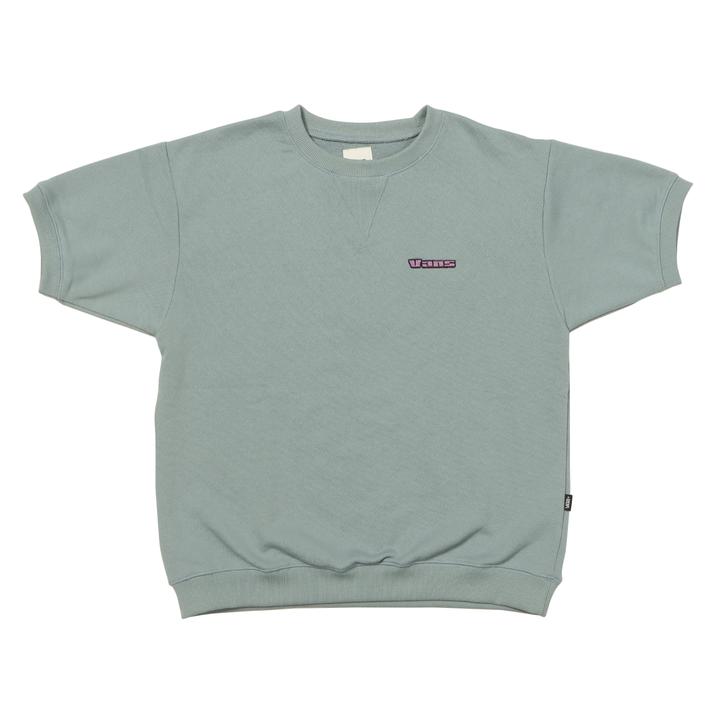 VANS �V���[�g�X���[�u BLUE