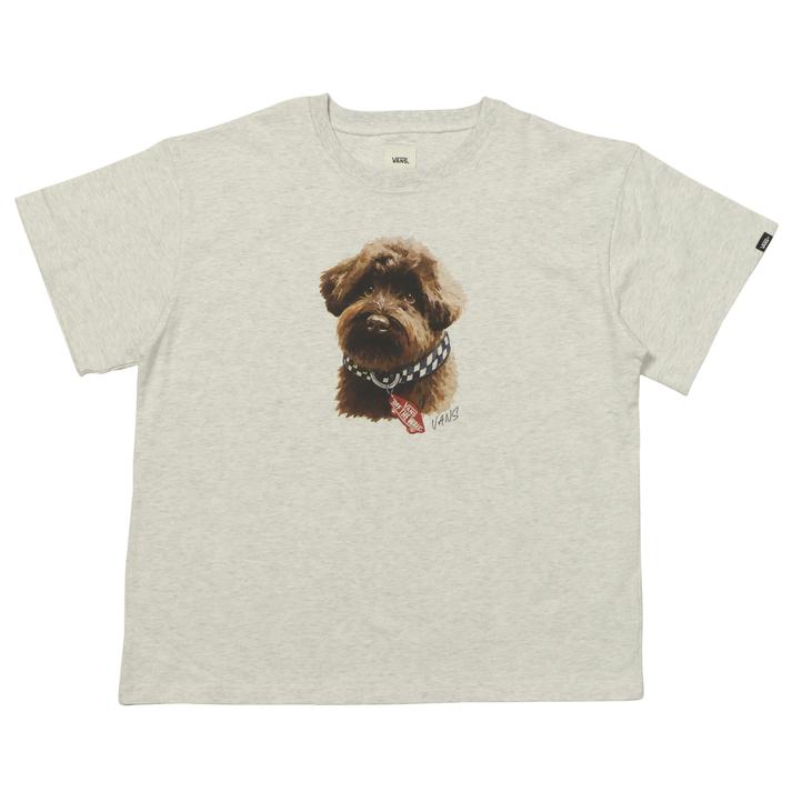 VANS �V���[�g�X���[�u GRAY