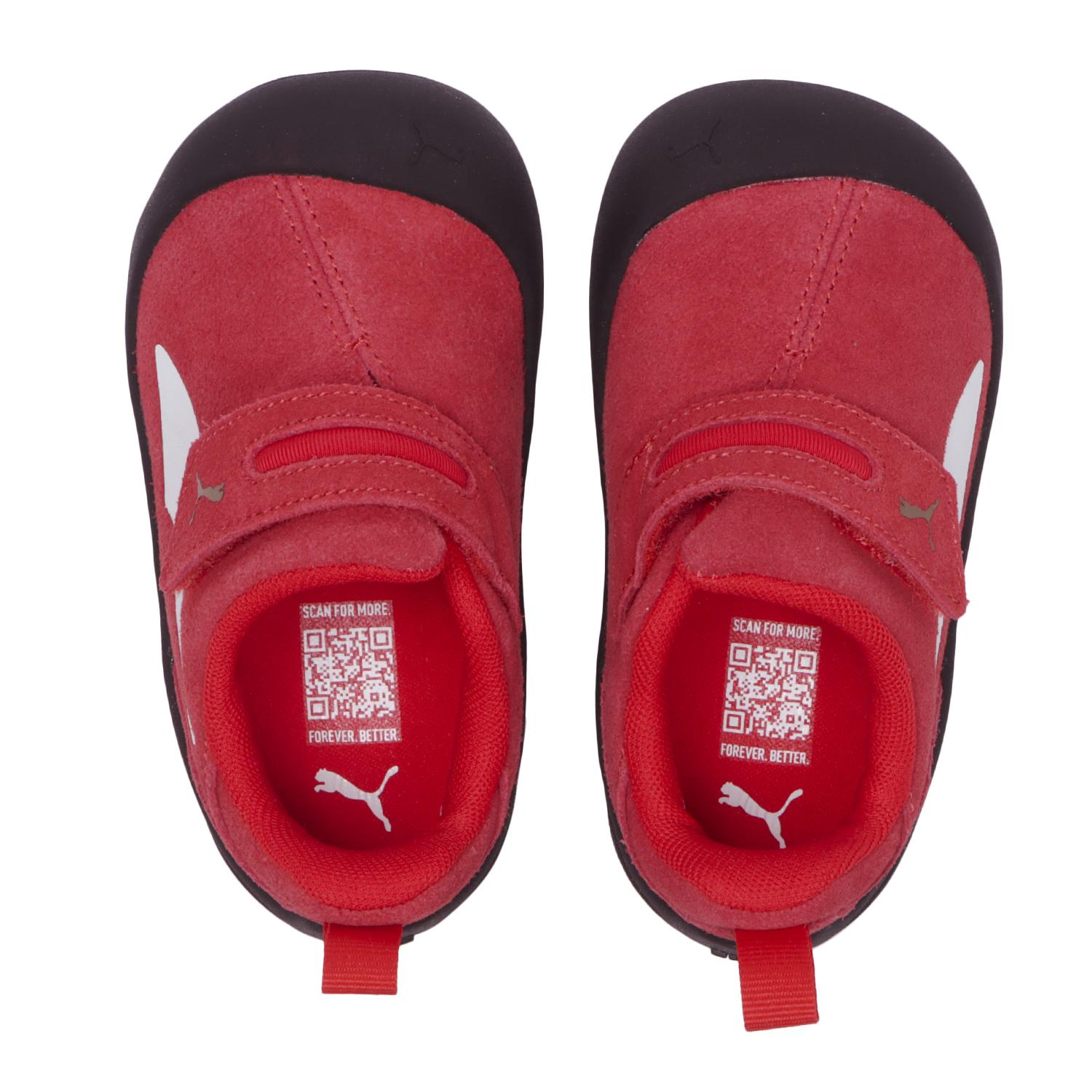ベビー 【PUMA】 プーマ 11-13 KITTEN PREMIUM V INF キッテン PRM V