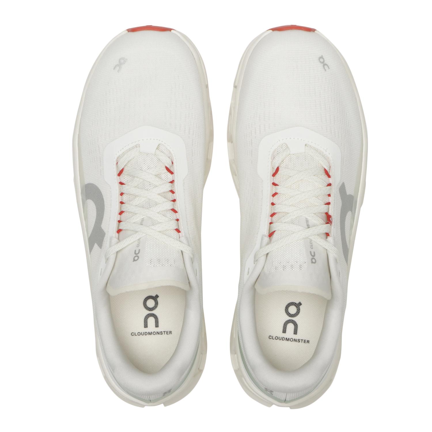  On Cloudmonster 1画像3