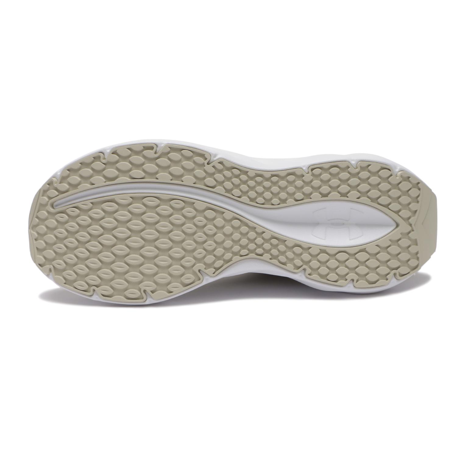 UNDER ARMOUR】 アンダーアーマー W UA ASCEND アシェンド 6009828