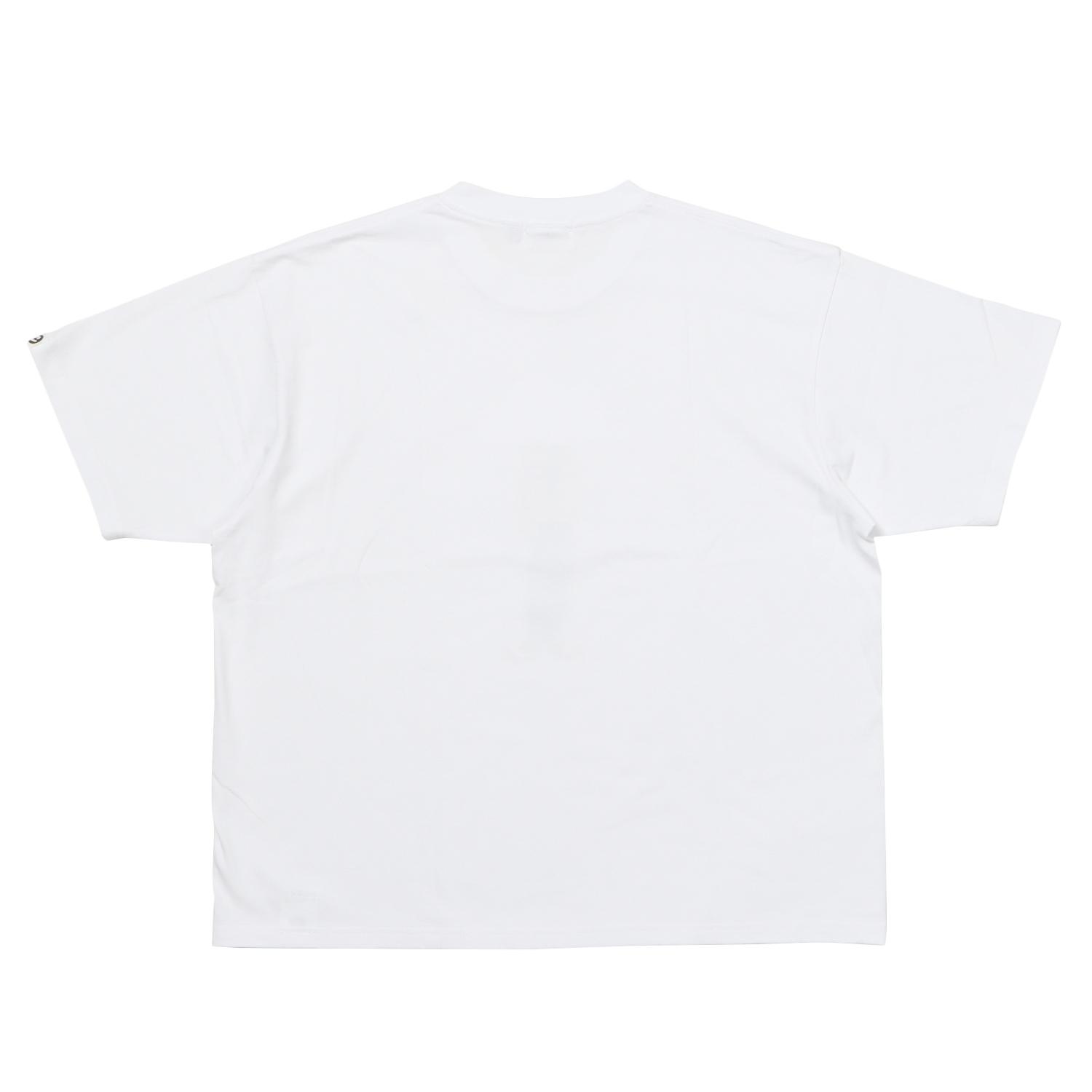  COTTON PAN APOLLO画像3