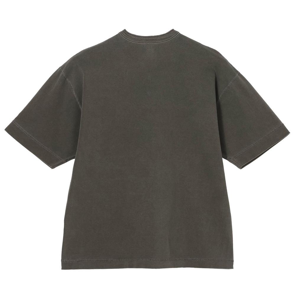  Healthknit HEALTH KNIT W's Henleyneck S/S Sulfur dye画像5