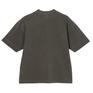  Healthknit HEALTH KNIT W's Henleyneck S/S Sulfur dye画像5