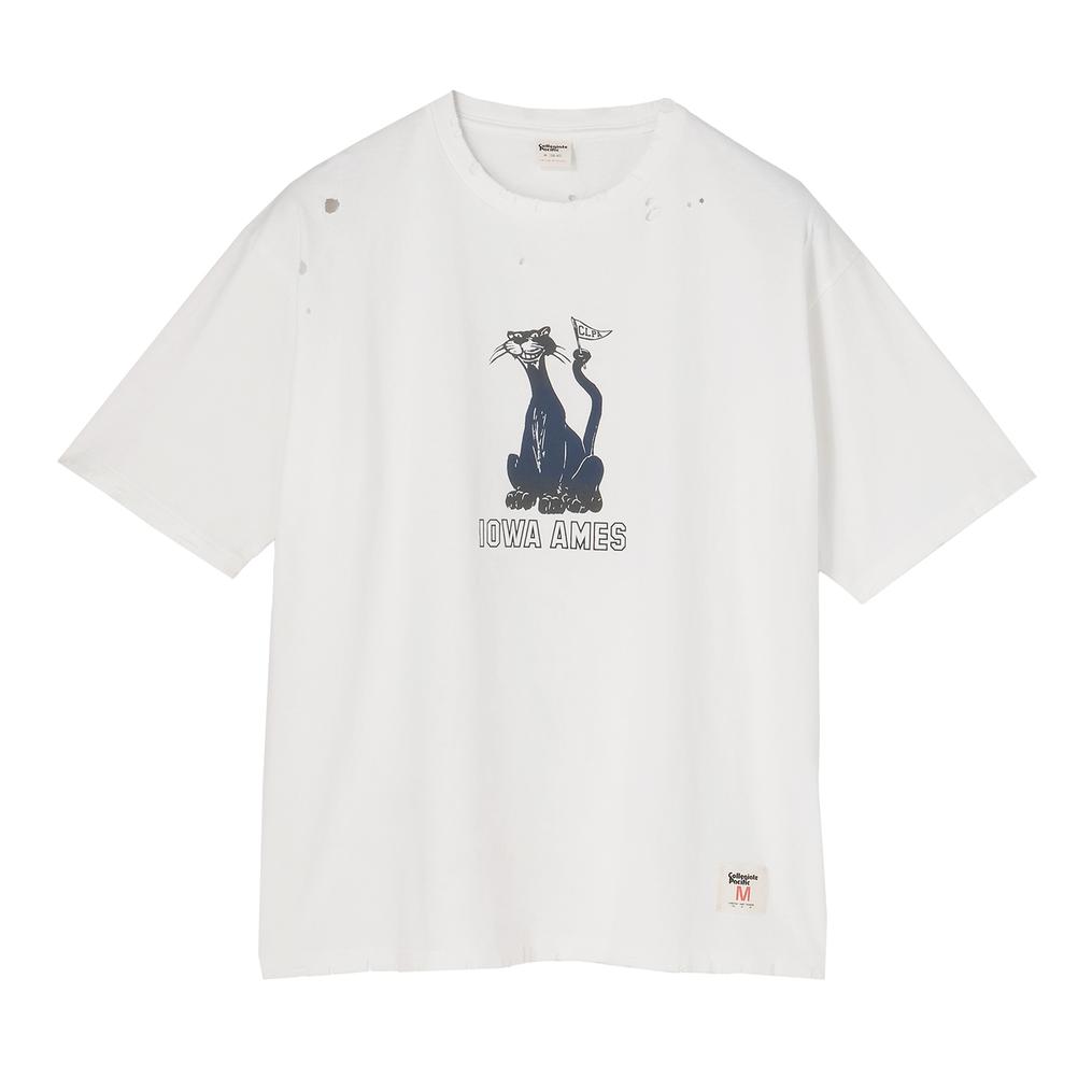  カレッジエイトパシフィック Collageate Pacific W's Damege S/S T Shirt OSHMAN'S SMU画像1