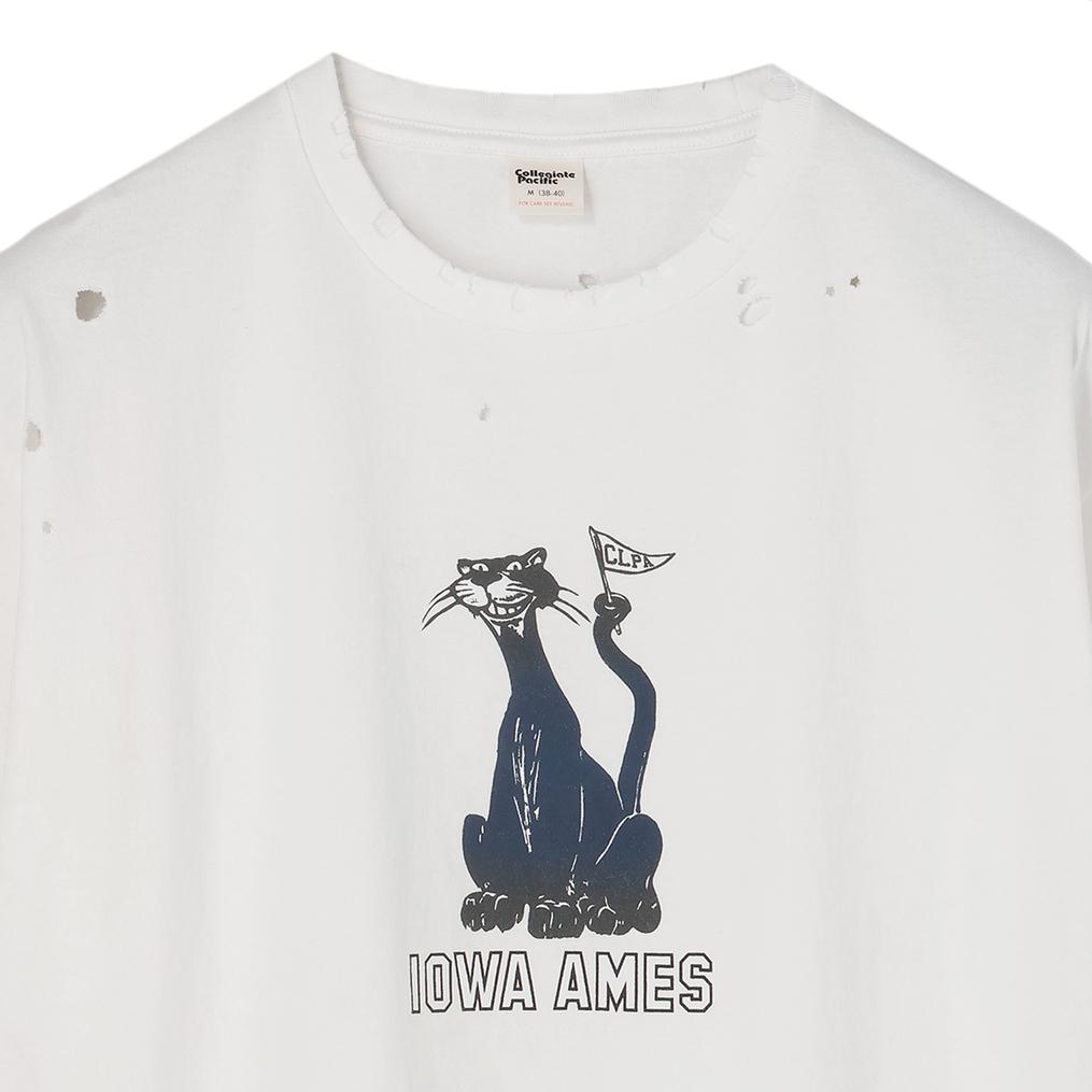  カレッジエイトパシフィック Collageate Pacific W's Damege S/S T Shirt OSHMAN'S SMU画像2