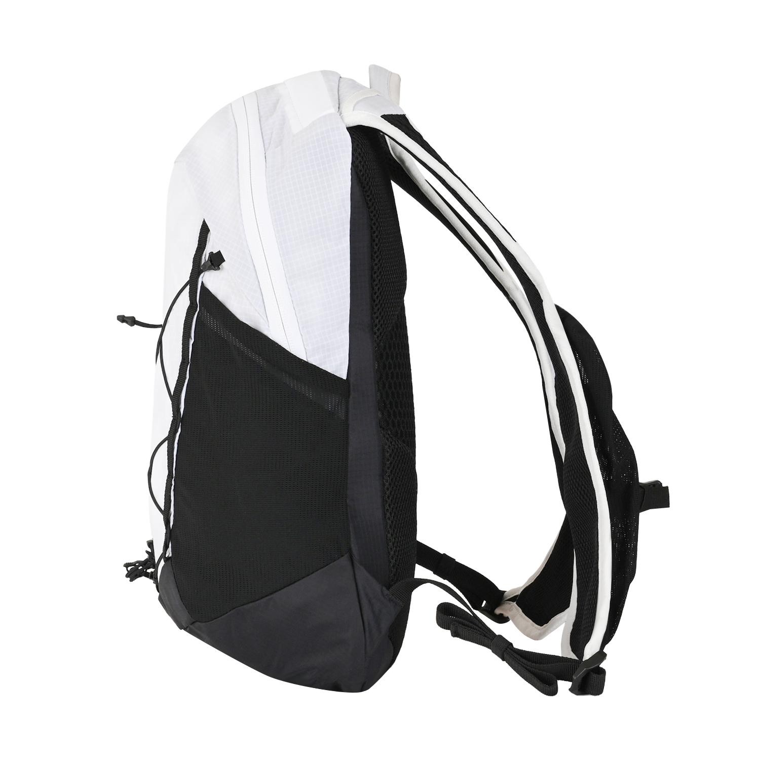  SALOMON XT 10画像2