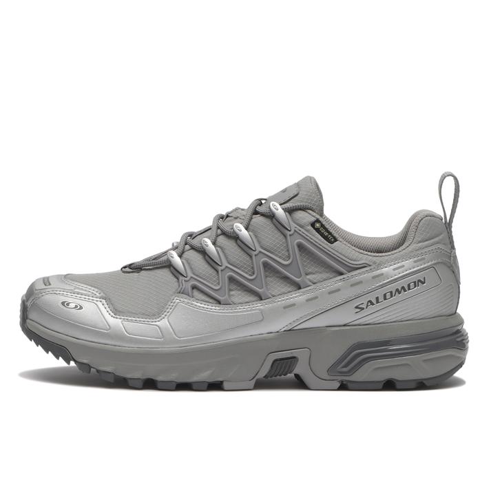 SALOMON �G�[�V�[�G�X�v���X GTX Alloy/Castleroc