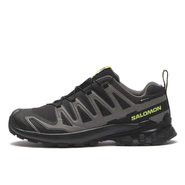 SALOMON �G�b�N�X�G�[3D V9 GTX Black/Dark Gull