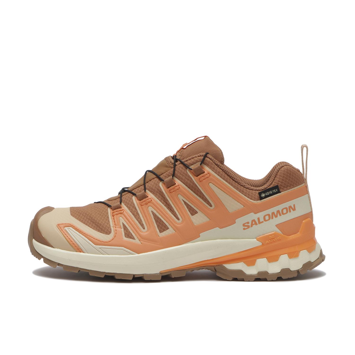 SALOMON】 サロモン XA PRO 3D V9 GTX W エックスエー3D V9 GTX W