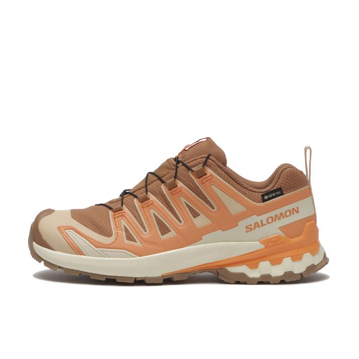SALOMON �G�b�N�X�G�[3D V9 GTX W Pecan Brown/Nec