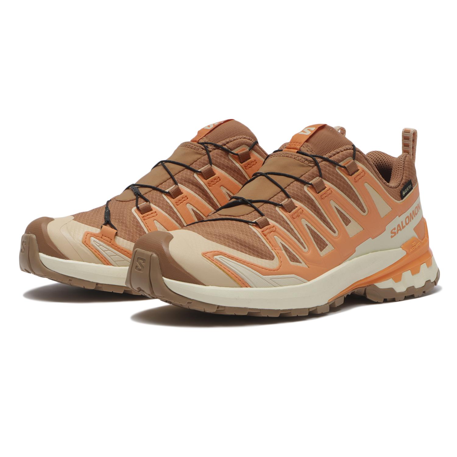 SALOMON】 サロモン XA PRO 3D V9 GTX W エックスエー3D V9 GTX W