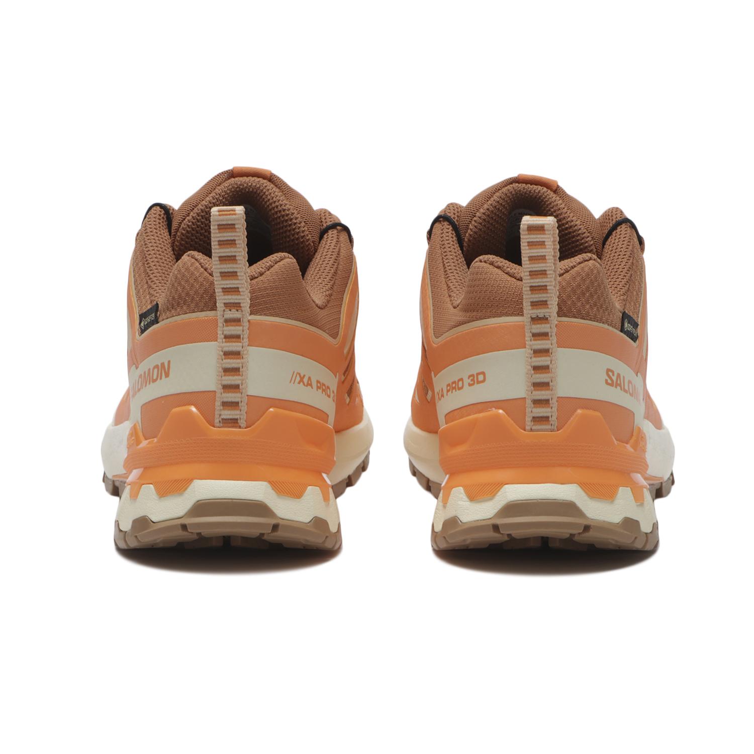 SALOMON】 サロモン XA PRO 3D V9 GTX W エックスエー3D V9 GTX W