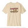  patagonia PATAGONIA M's '73 Skyline T-Shirt画像6