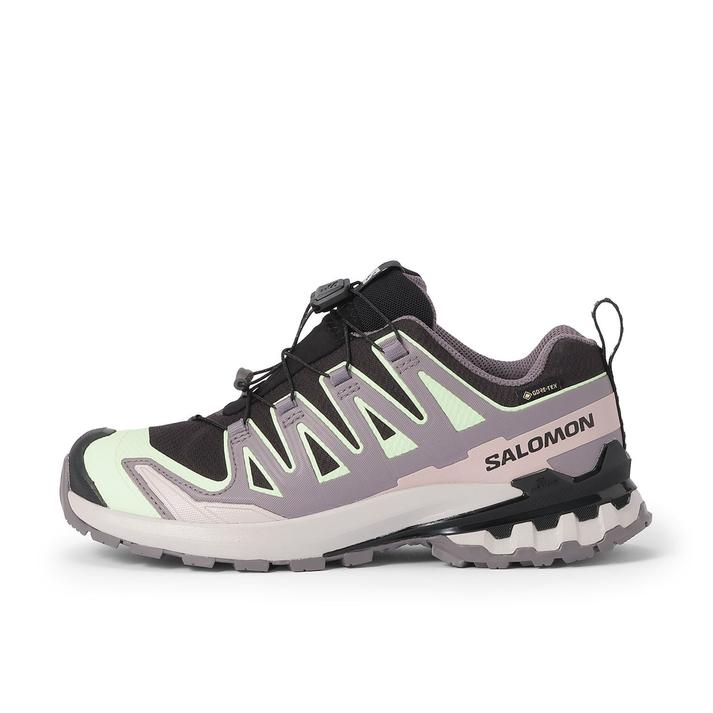 SALOMON XA PRO 3D V9 GTX W Black/Patina Gr