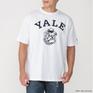 モデル：178㎝ / 着用サイズ：Ｌ CHAMPION CHAMPION T1011 S/S T-Shirt YALE画像1