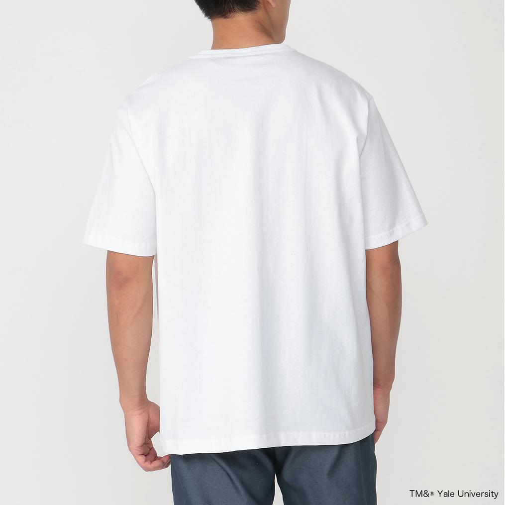 モデル：178㎝ / 着用サイズ：Ｌ CHAMPION CHAMPION T1011 S/S T-Shirt YALE画像3