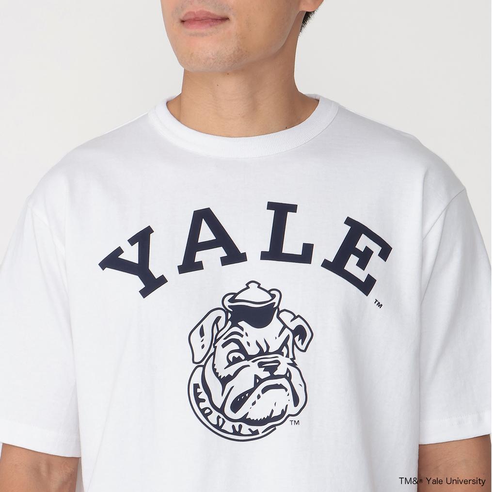  CHAMPION CHAMPION T1011 S/S T-Shirt YALE画像4