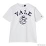  CHAMPION CHAMPION T1011 S/S T-Shirt YALE画像6