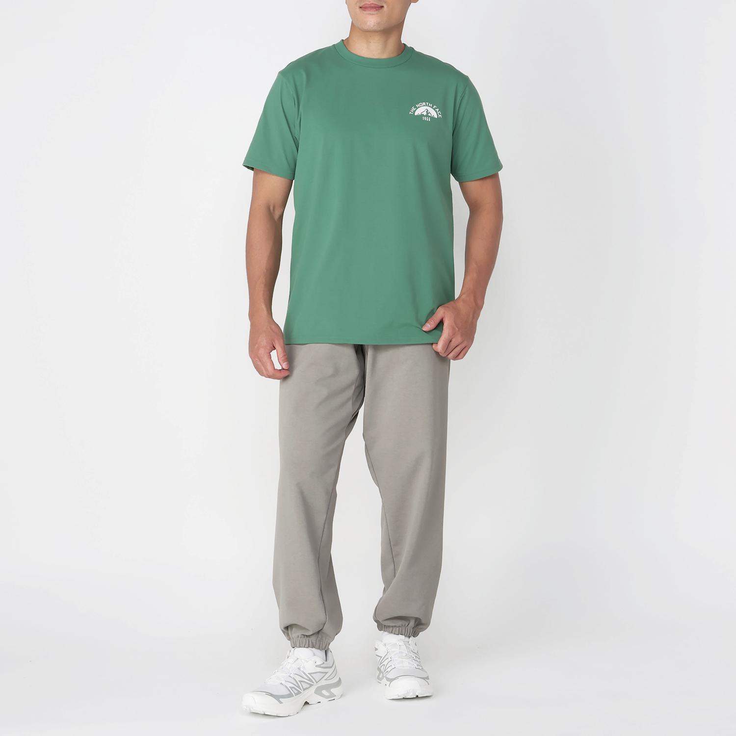 THE NORTH FACE THE NORTH FACE M Small Logo Heather SweatPant
