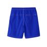  THE NORTH FACE THE NORTH FACE M's Versatile Mid画像3
