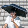  ハス HUS ALL WEATHER Colors画像2