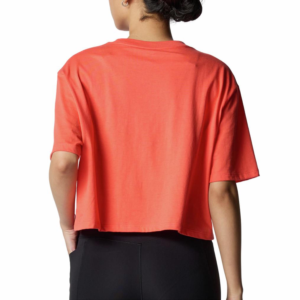  UNDER ARMOUR UNDER ARMOUR UA Rhinestone Crop S/S T-Shirt画像3