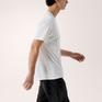  ARC’TERYX ARC’TERYX Kragg SL Cotton Bird Word SS M画像2