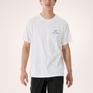  ARC’TERYX ARC’TERYX Kragg SL Cotton Bird Word SS M画像4