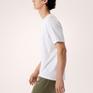  ARC’TERYX ARC’TERYX Kragg SL Cotton Blurred Bird SS M画像2