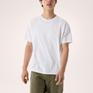  ARC’TERYX ARC’TERYX Kragg SL Cotton Blurred Bird SS M画像4