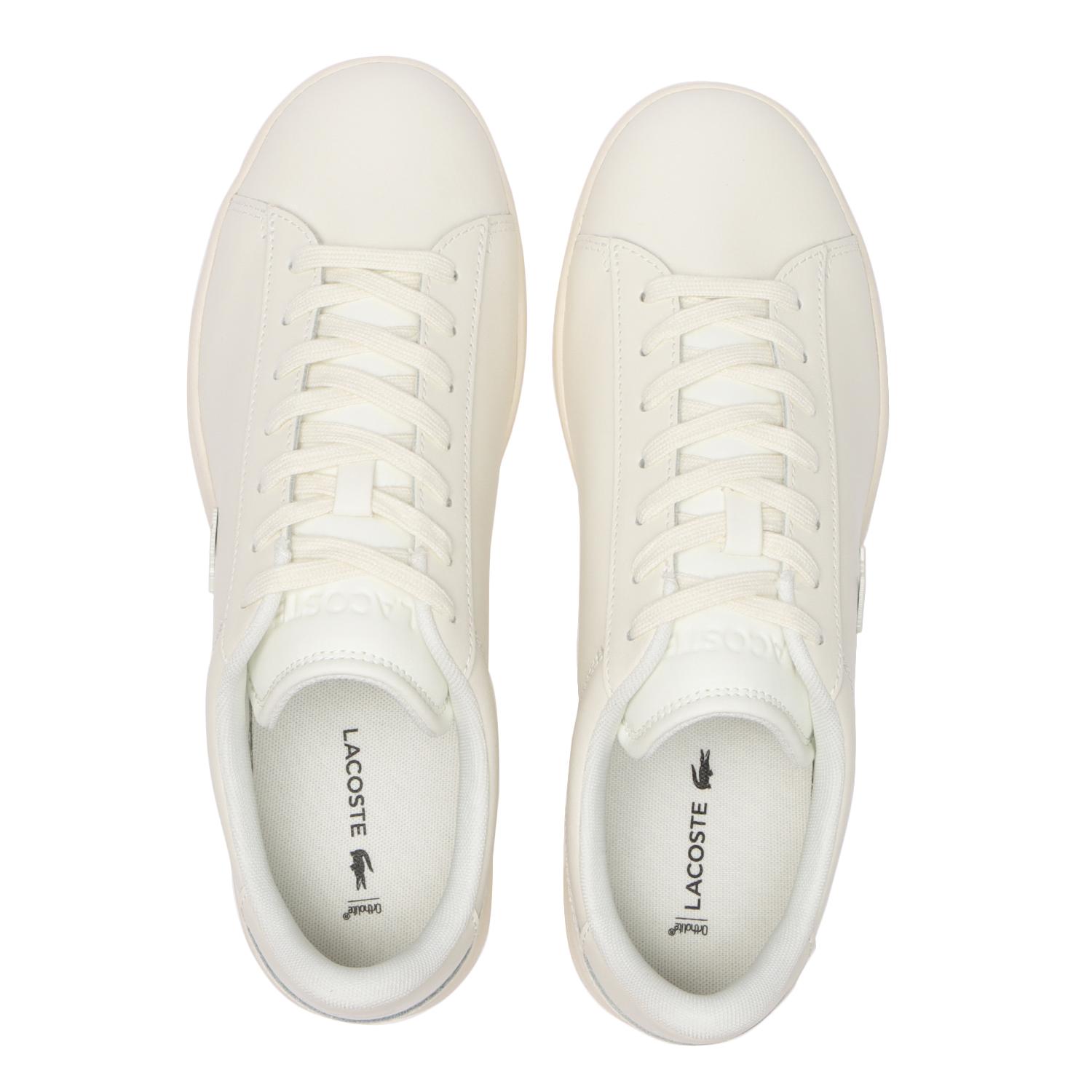 LACOSTE】 ラコステ CARNABY SET 1261APAC SMA カーナビー 51SMA0199