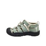 LILY PAD/BLACK