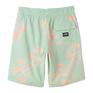  BILLABONG BILLABONG M Sundays OG Boardshort画像5