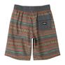  BILLABONG BILLABONG M Sundays Logo OG Boardshort画像5
